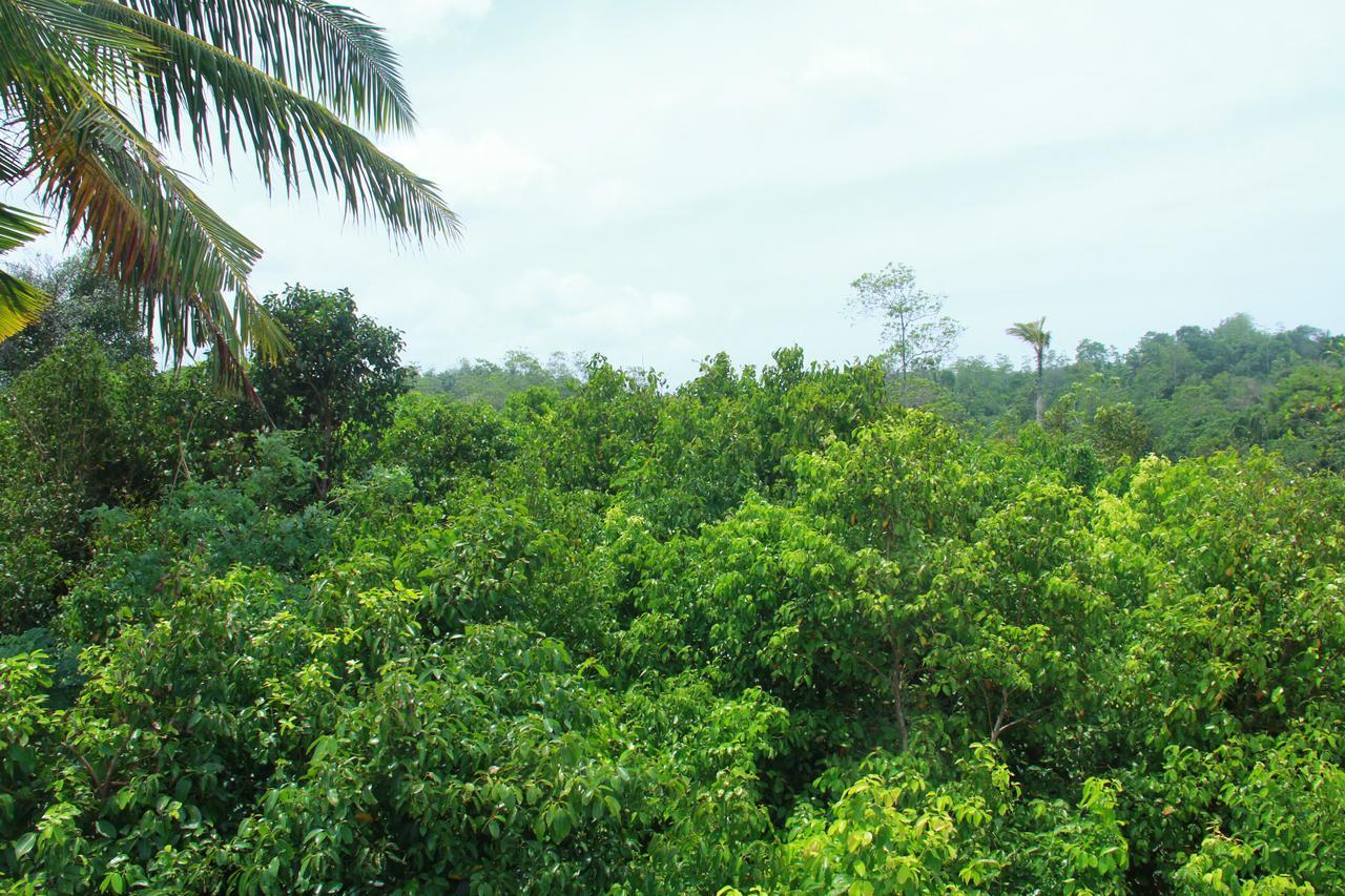 Mirissa Eco Hills Villa Exterior photo